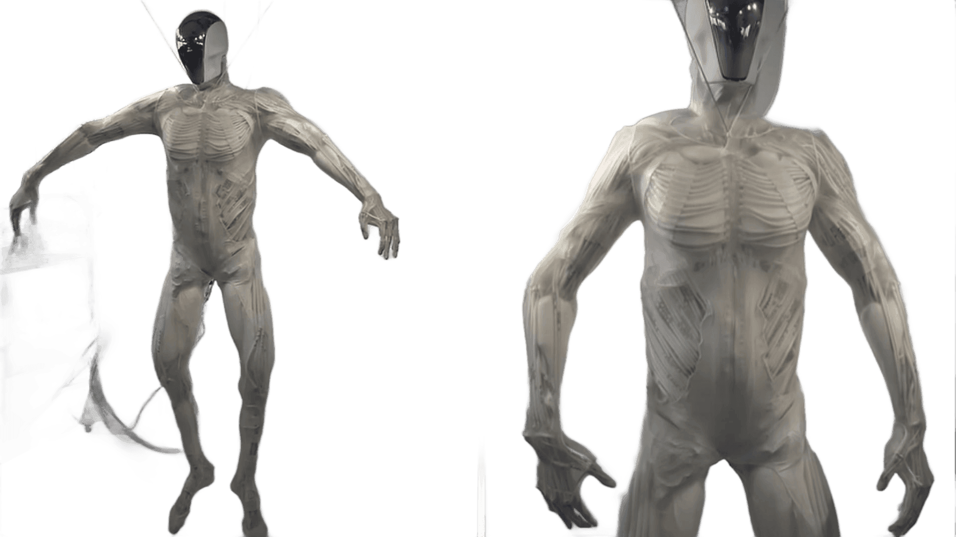Clone Robotics Protoclone