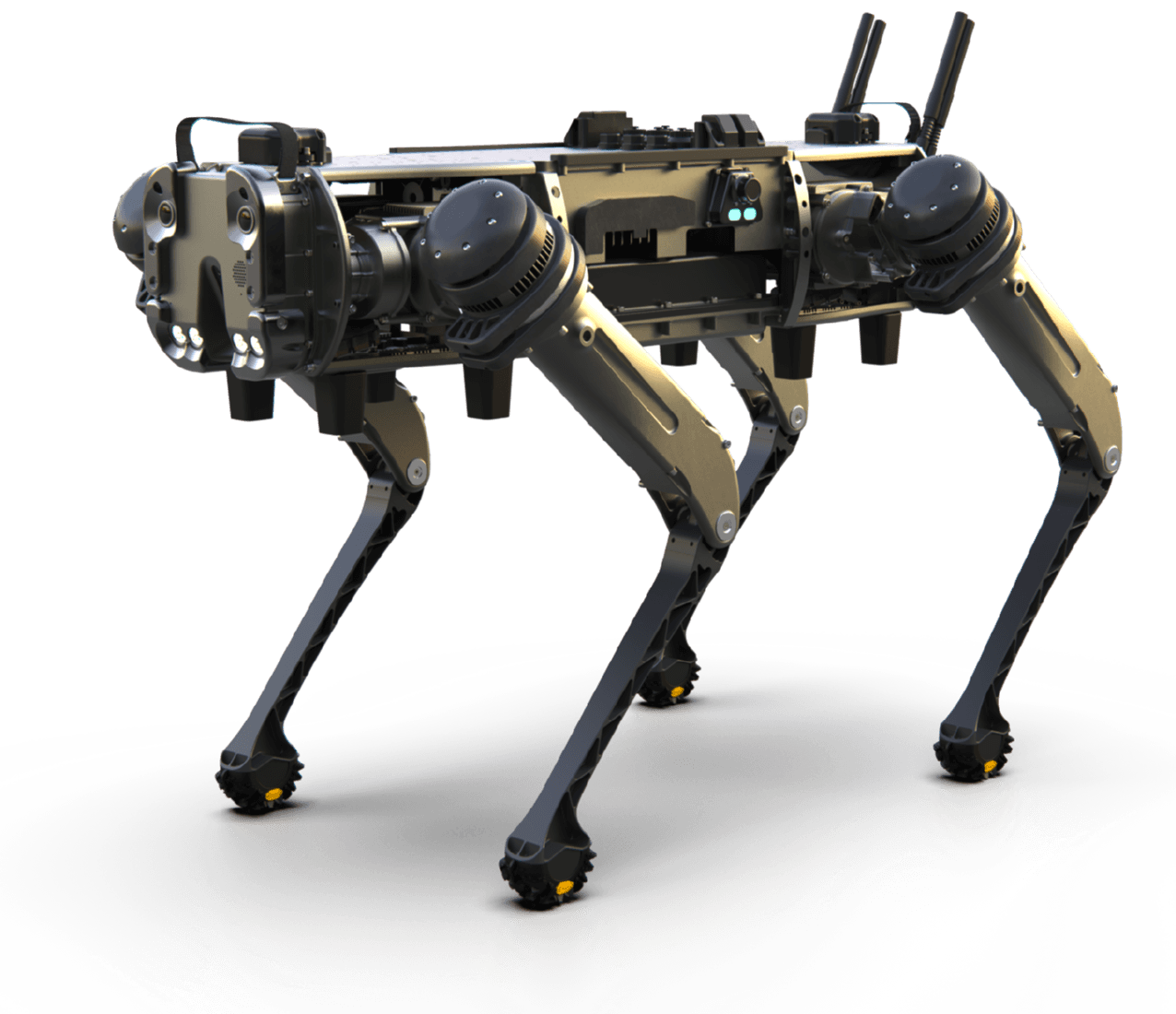 Ghost Robotics Vision 60