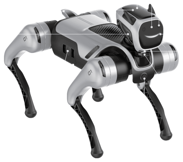 MagicLab MagicDog