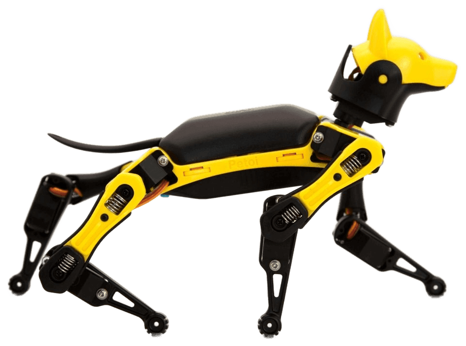 Petoi Bittle