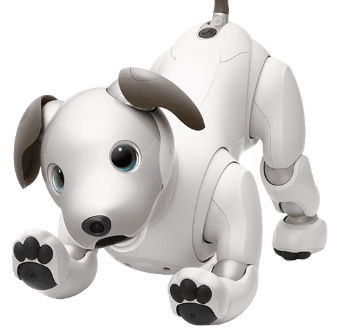 Sony aibo (ERS-1000)